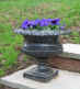 Picture of black urn with purple pansies
