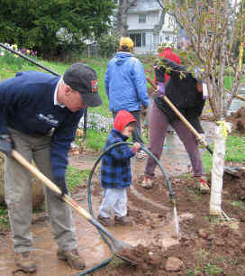 Three year old watering while neighbors dig in a newly planted street tree