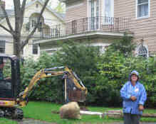 The catepillar behind one happy owner ready for her tree